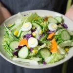 www . that-bites .org – A Comprehensive Guide For You!