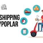 Dropshipping Graypoplar: How to Start, Scale, and Succeed