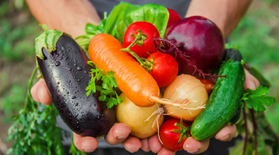 Learning About Food by Growing It Yourself